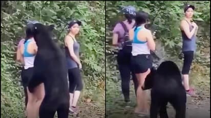 Viral Video
