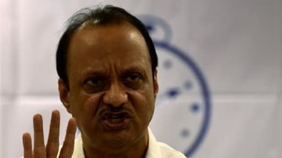 star candidates of Maharashtra Assembly Elections 2019