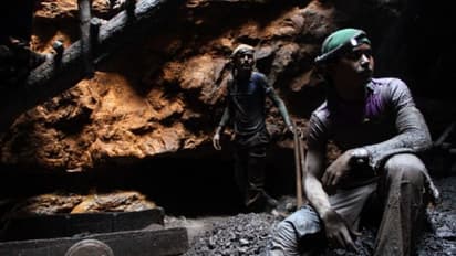 coal mines in Jharkhand evidence of lost ecosystem existed before humans dinosaurs