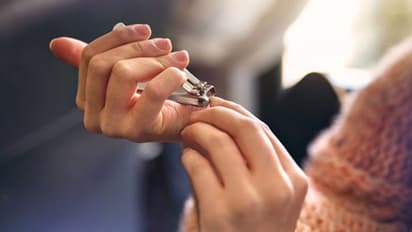 image of nail cutter