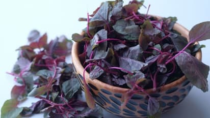 Image of  Red spinach