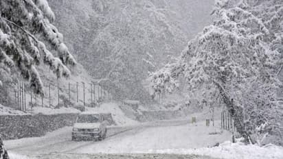 snow fall continues in kashmir