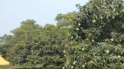 50 percents Crop Drop Expected Due to Erratic Weather and Extreme Heat