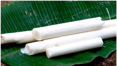 Health Benefits of Eating Banana Stem 