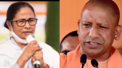 Image of Mamata Yogi