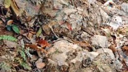 Food Waste alappuzha