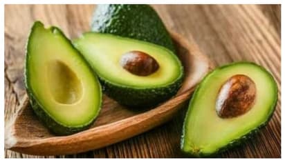 avocado fruit
