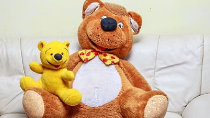 Teddy Day