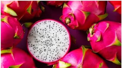 Dragon Fruit