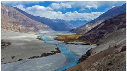 shyok river ladakh