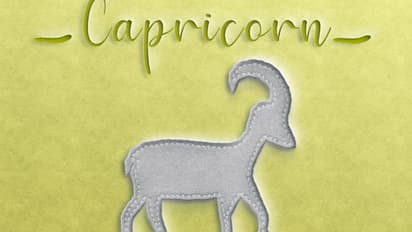 Capricorn Zodiac
