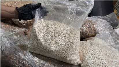 Saudi authorities seized large quantities of drugs