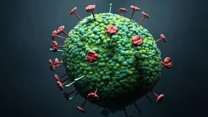 virus