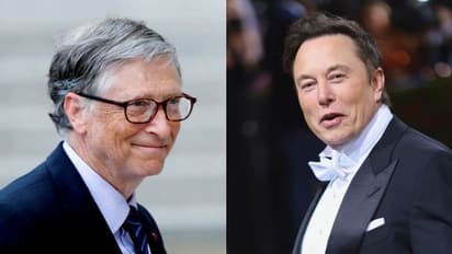 elon musk, bill gates