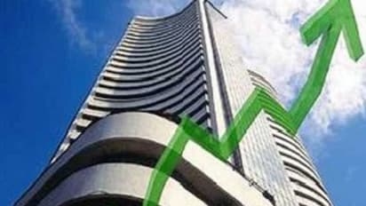 Sensex up