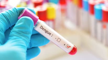 dengue