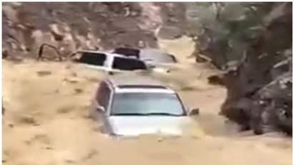 how to apply for police certificate for vehicle damaged due to heavy rain in uae