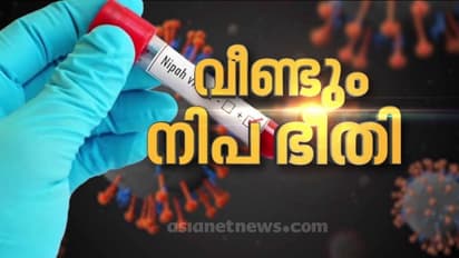 Nipah Virus Kozhikode