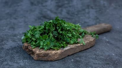 coriander leaves