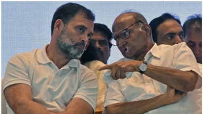 rahul gandhi sharad pawar
