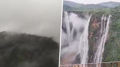 Karnataka: Magical mist attracts tourists to world-famous Jog Falls in Shivamogga; WATCH stunning video