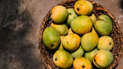 how to identify pure and artificial mango