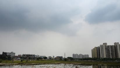 weather forecast rain