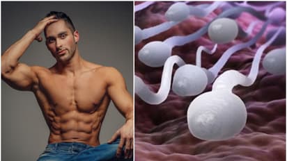 Male Fertility