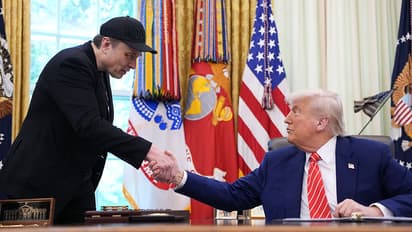 Elon Musk/Donald Trump