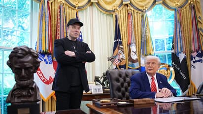 Elon Musk/Donald Trump