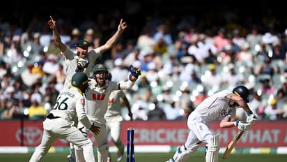 Australia beat England in Ashes 3rd Test