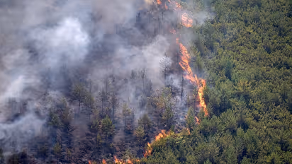 spain wildfire