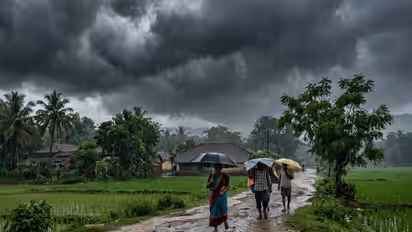 RAINS