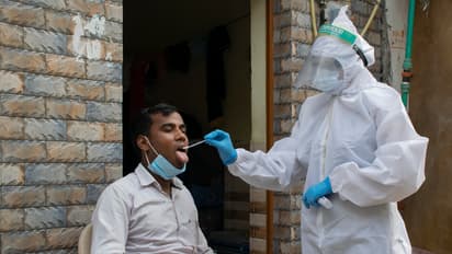 coronavirus corona covid