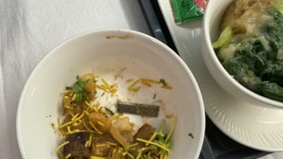 Air India Flight Metal Blade in food