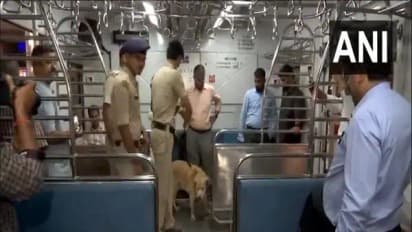 rpf grp and security