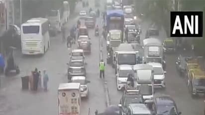 Mumbai Rain Delays Local Trains Due To Low Visibility And Waterlogging