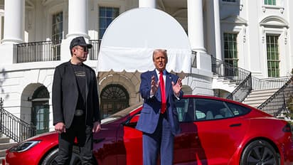 US President Donald Trump and Tesla CEO Elon Musk with a Tesla car in the background (Image Credit: Reuters)