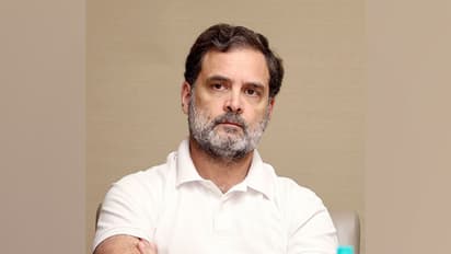 Lok Sabha Leader of Opposition Rahul Gandhi (File Photo/ANI)