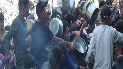 World Health Organization says 2.1 million in Gaza face food shortage (Photo/WHO)