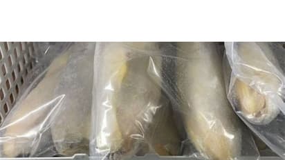 China-imported fish (Source: @Focus_Taiwan/Representative) 