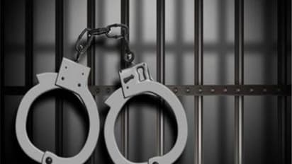 Delhi Police Crackdown on Illegal Immigrants: 71 Foreign Nationals Deported in May(Photo/ANI)