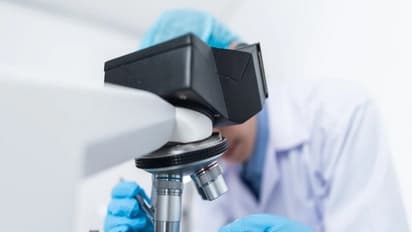 Representative Image (Photo: Pexels)