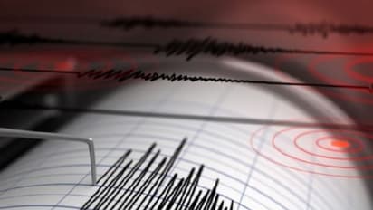 Alaska earthquake triggers tsunami warning (Representation)
