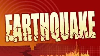 4.8 magnitude earthquake hits near Islamabad(Representation)
