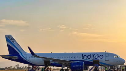 IndiGo