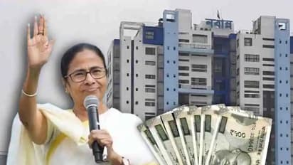 Mamata