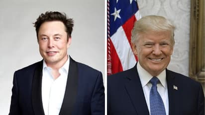 Musk Trump