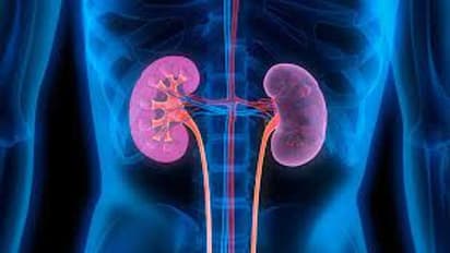 Kidney health