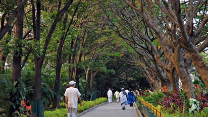 Bengaluru Public Park